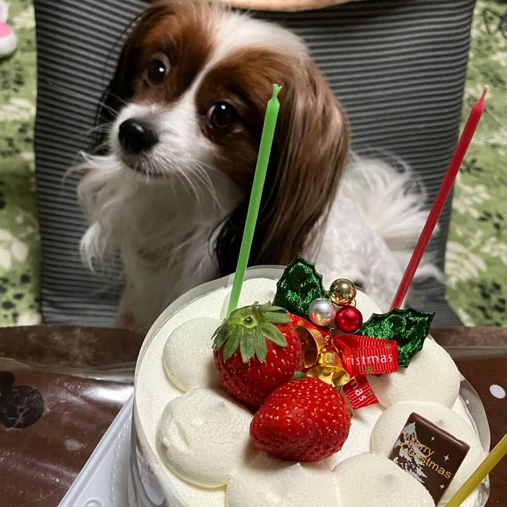 C0e8ea06 98f0 4764 afe7 e818fe205c47 1703456151424