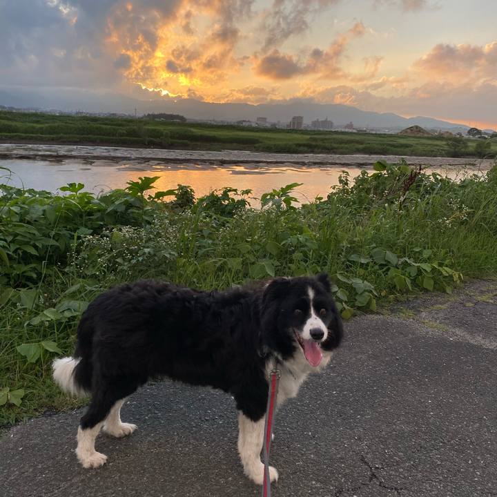 C0e8ebe4 f38b 4128 9659 fe89789df5eb 1658226723913