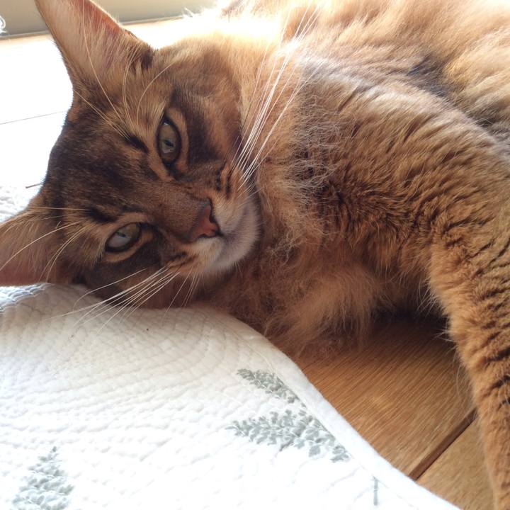 C0e8ed72 4e1d 479e 89e7 b5a5b6397bc7 1605659436292