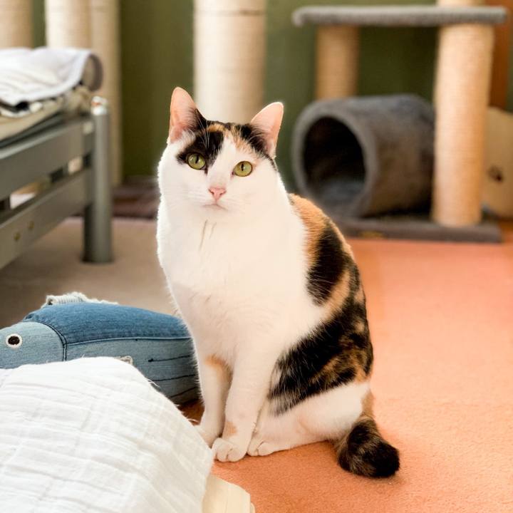 C0e8f3eb bf33 48df 8ce5 25188bf9a489 1546307296251