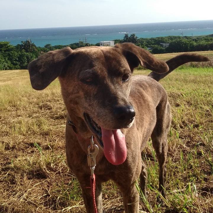 C0e8f562 73a6 46cc 88b8 5c75055eef5e 1557666418466