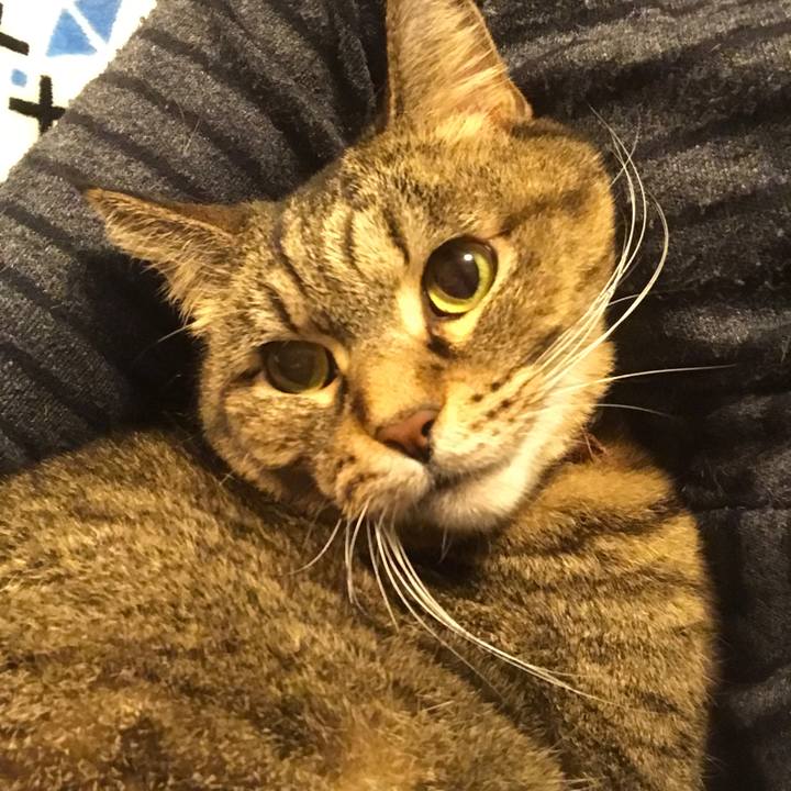 C0e95a49 51c1 4b92 8506 dfe9c49df7be 1552198607239