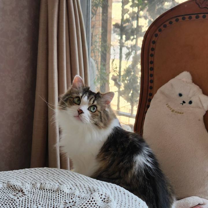 C0e973cc 8cd8 4352 b4f4 3e6102e8846d 1725747727167