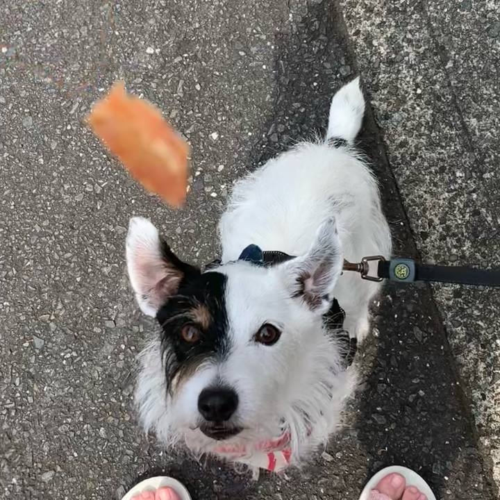 C0e990e4 d464 491f b067 ffd24d08e393 1687739655032