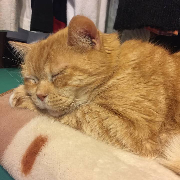 C0e9bbaa 13b3 4bbe b299 6e9c000712ca 1555422558114