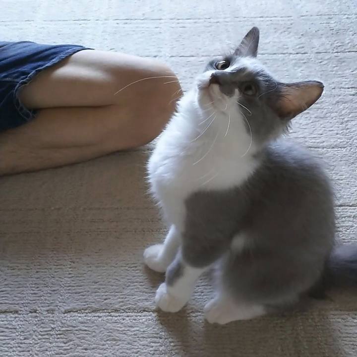 C0e9d0d4 4b24 4581 bef2 ca561600e07b 1565404738521