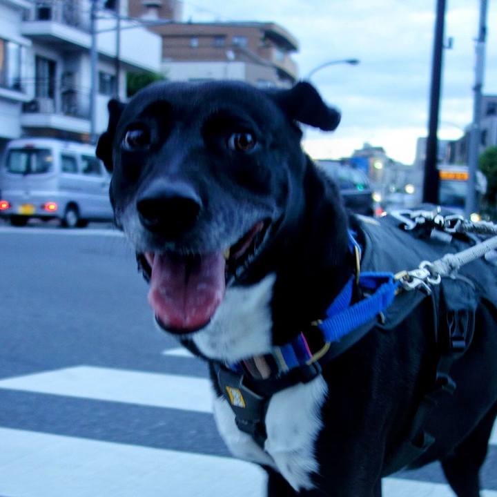 C0ea0e4e 7b64 451e a57d ad230bac94e4 1657191119189