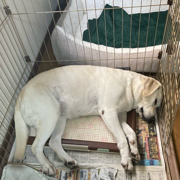 C0ea2470 c271 4c1d 853a a8d90c885058 1722215291801