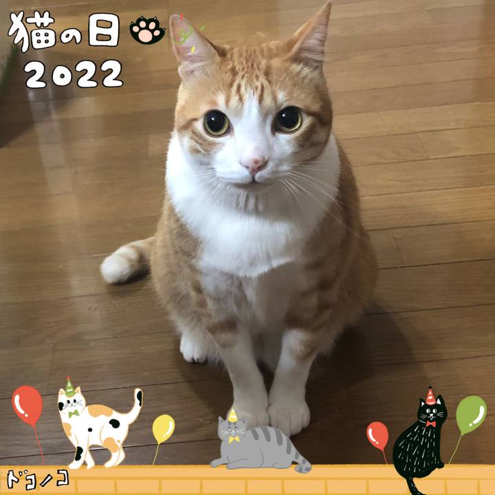 C0ea36ce 06ff 47ed 921f ddc3ef572e06 1645525984793