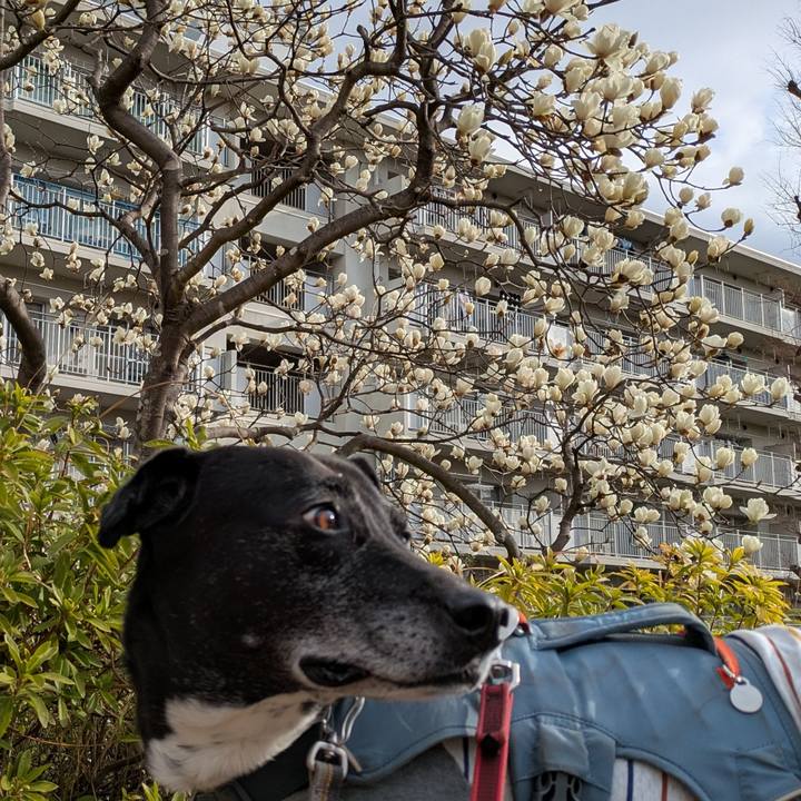 C0ea72af 7ac0 4706 9b0b 0fe87a6bfa89 1742259397270