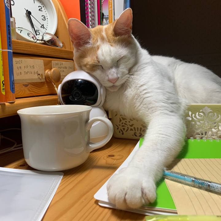 C0ea8dca 4d9a 432b b415 28b690711223 1651264083514