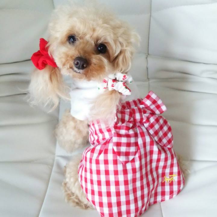 C0ea95cf 380b 49e6 98a3 597fbedd8490 1558271211677