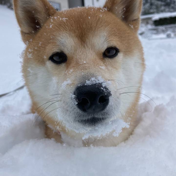 C0ea999e 017e 4c8a 99e6 5d045dc48b44 1640650189108