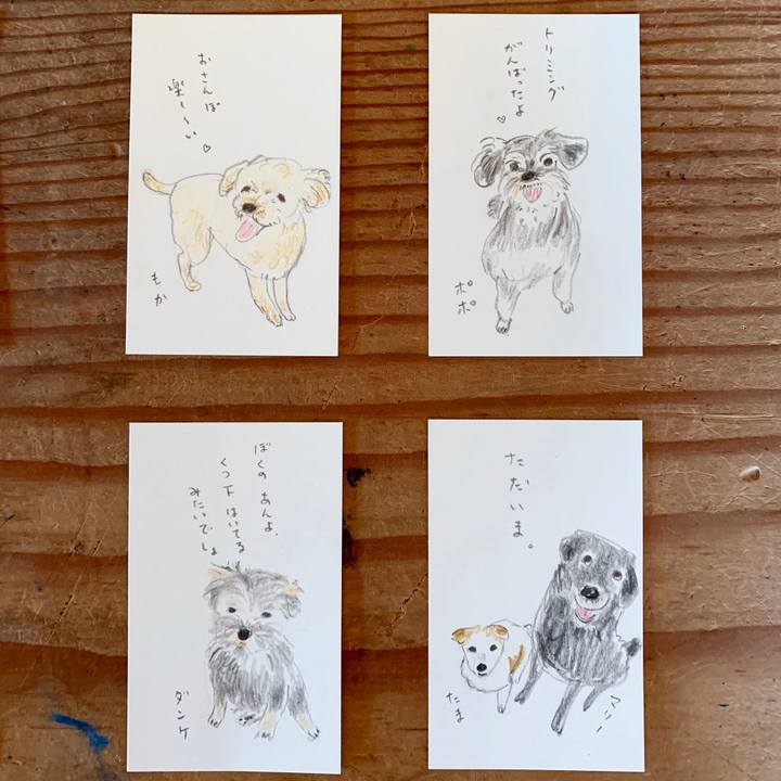 C0ea9f1a 89aa 4d5c a1b2 fb17d0b5f93e 1602640568920