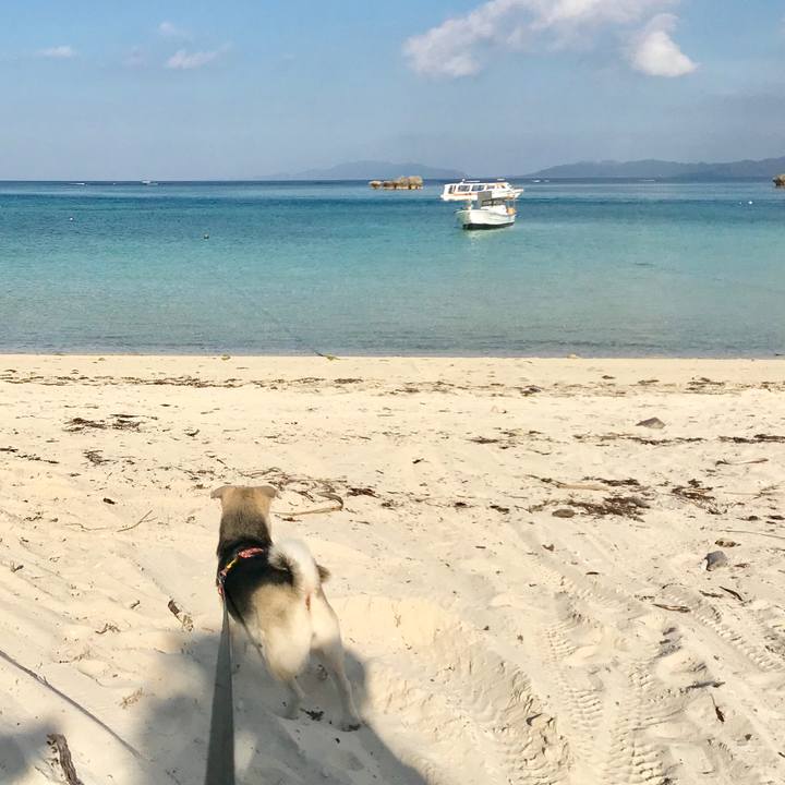 C0eaa971 8df7 405b 9dec 6efeb059e83e 1542793721578