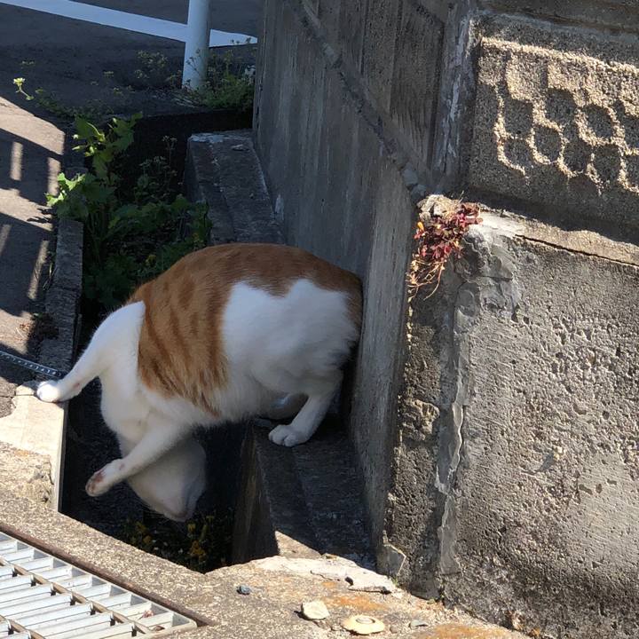 C0eaf81b bb41 4d95 8abf 3483f7342422 1556539912352