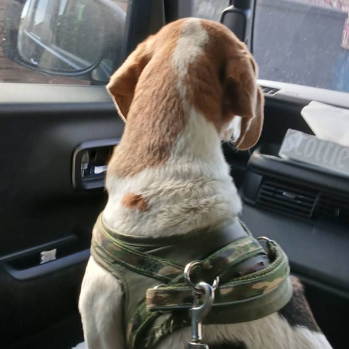 C0eafd90 a53d 425e b6a1 1ee11c3fe283 1770117842215