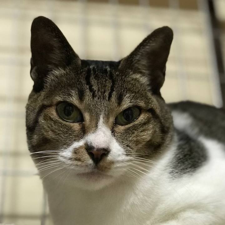 C0eb0ebd 946f 4ac2 8ef1 84dd6cd3b186 1511056223019