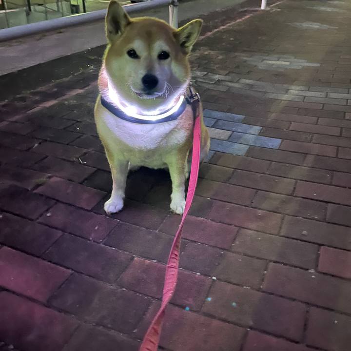 C0eb18fc 9f11 4ffe 86c4 fe514b34b033 1703023043249