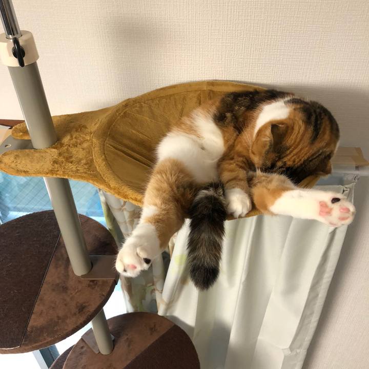 C0eb2a82 8e6c 41f1 97fd 67c62f42d34c 1529807608928