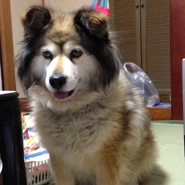 C0eb3ba7 9b34 4d3c 85ba 54490dd6b366 1605144077728