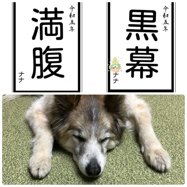 C0eb4e83 169e 4f8c b3e0 2bfe28070ca0 1672653323472