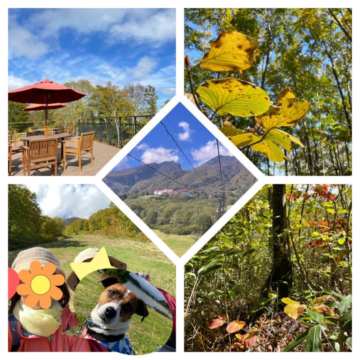 C0eb55bc 4df7 4fe8 a2b4 e30665139394 1634633608768