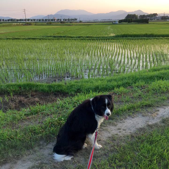 C0eb641c 809d 499b bc60 435e409286a1 1531601555392