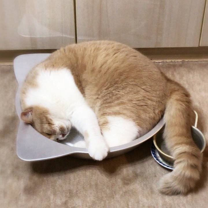 C0eb7363 ab83 49dd a261 b53cb57858b4 1511147013173