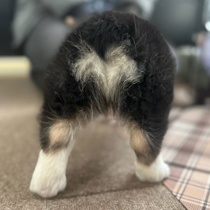 C0eb9fe8 f99b 4236 b778 ea4630917fc8 1769232232724