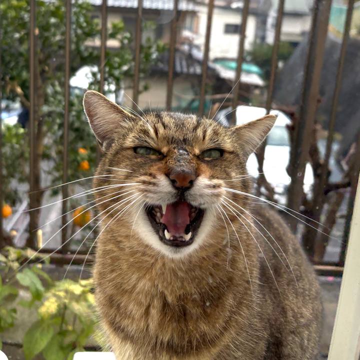 C0ebce8f 7e97 4fa3 bdb4 c571c2895463 1766282258072