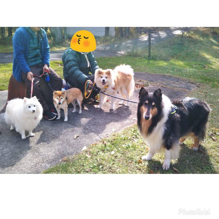 C0ebd1a4 049b 496d 8769 a157a72e8228 1604327998121