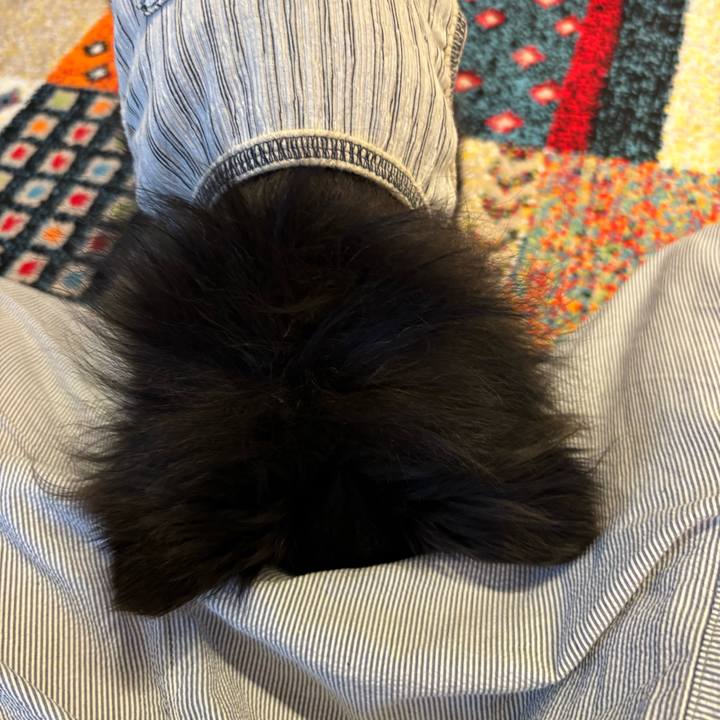 C0ec21b3 5146 4987 965a 35448998d0cf 1723824048458