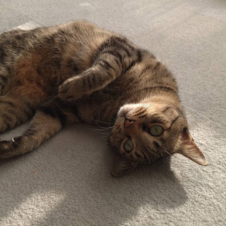 C0eca10e 842b 400d 91ba f100f0f0410c 1631343096377