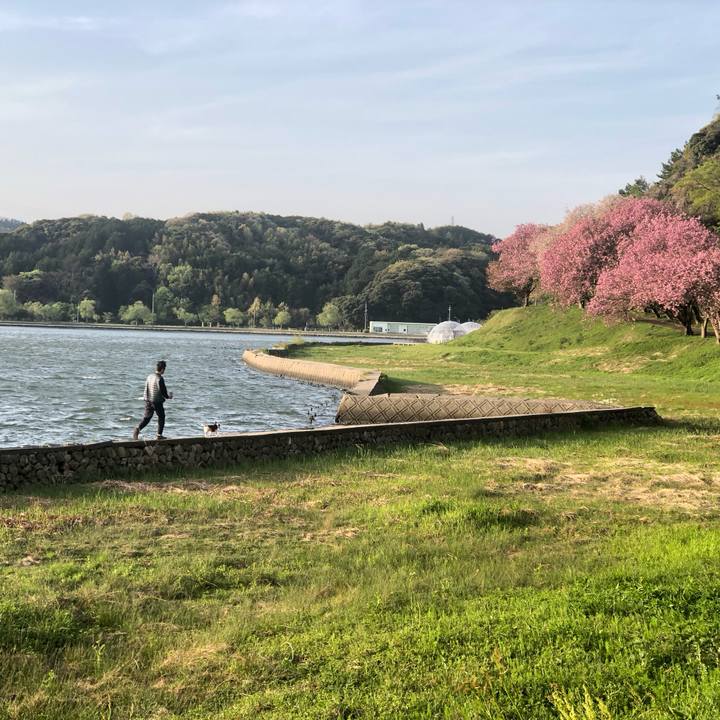 C0eca801 6264 4780 9216 b7b747e8ad84 1746427699247