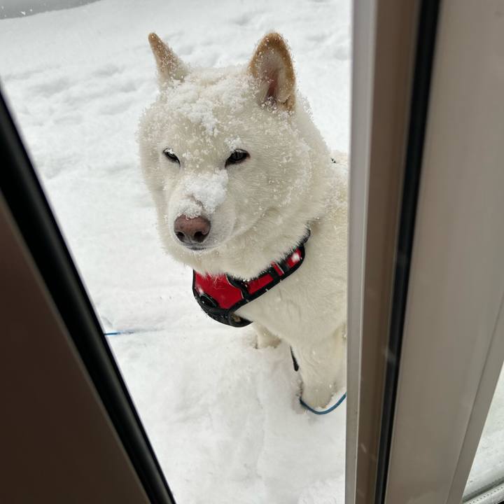 C0ecd159 6f26 4887 8e94 beb5764e454a 1708559175527