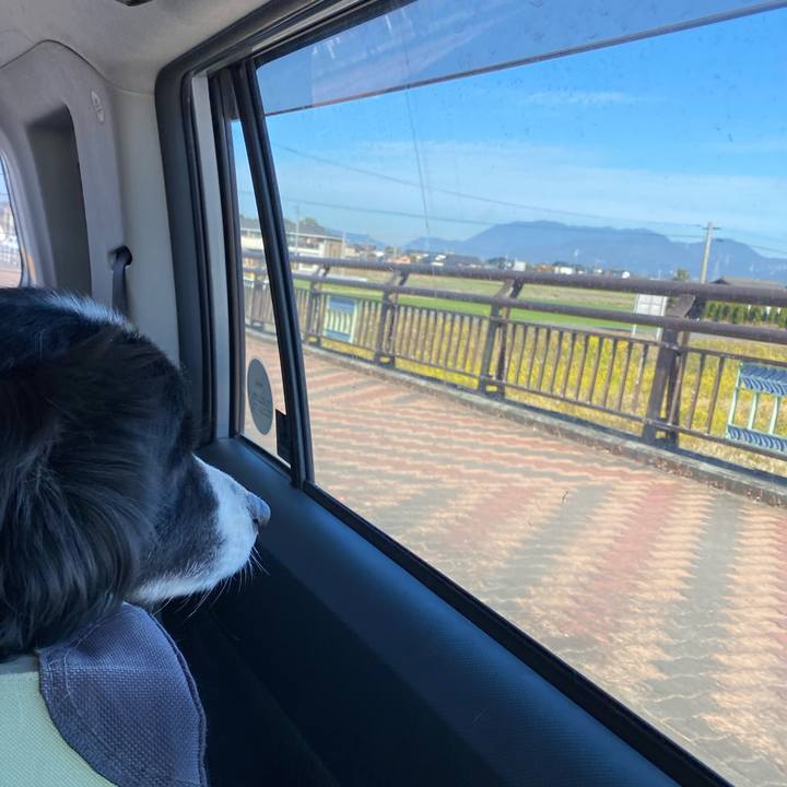 C0ecfe26 963a 4ab9 9f1c fa95c4d4a46d 1646009334268