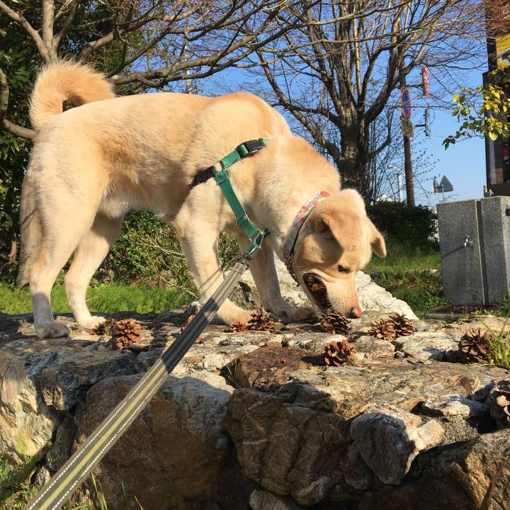 C0eda709 58ea 4347 8cf3 ccd1d362f23c 1521963199417