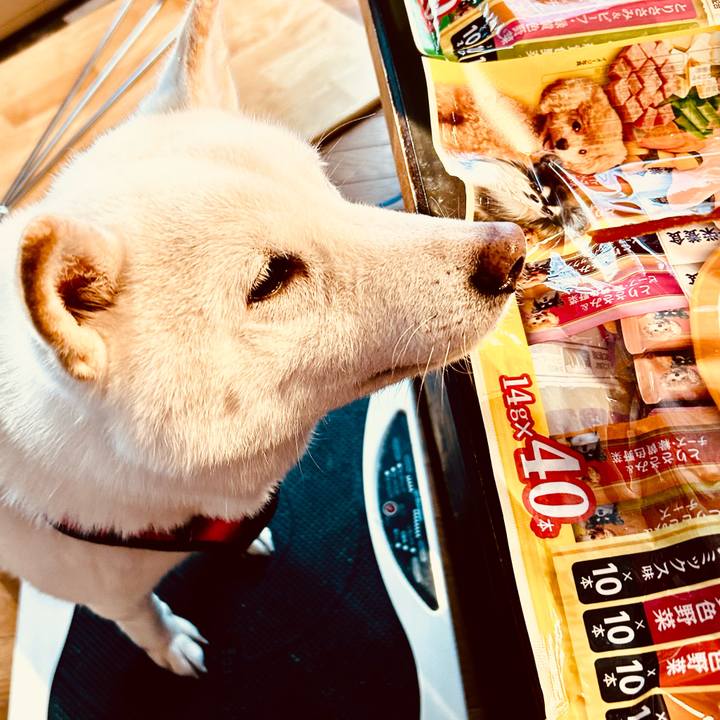 C0edbec2 edf4 41f6 a09b 17c24795367b 1703380357131