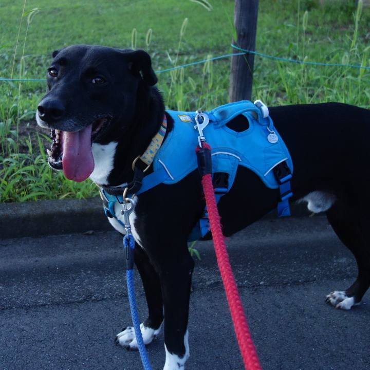 C0edcbcb 3ce2 4ec6 b119 aac5270c5b25 1626443537524