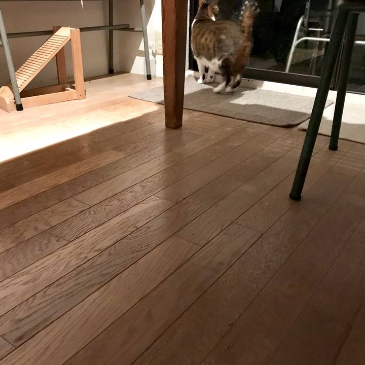 C0ee1c24 951b 4daa 9fcf febaac2cf1c4 1555592750754