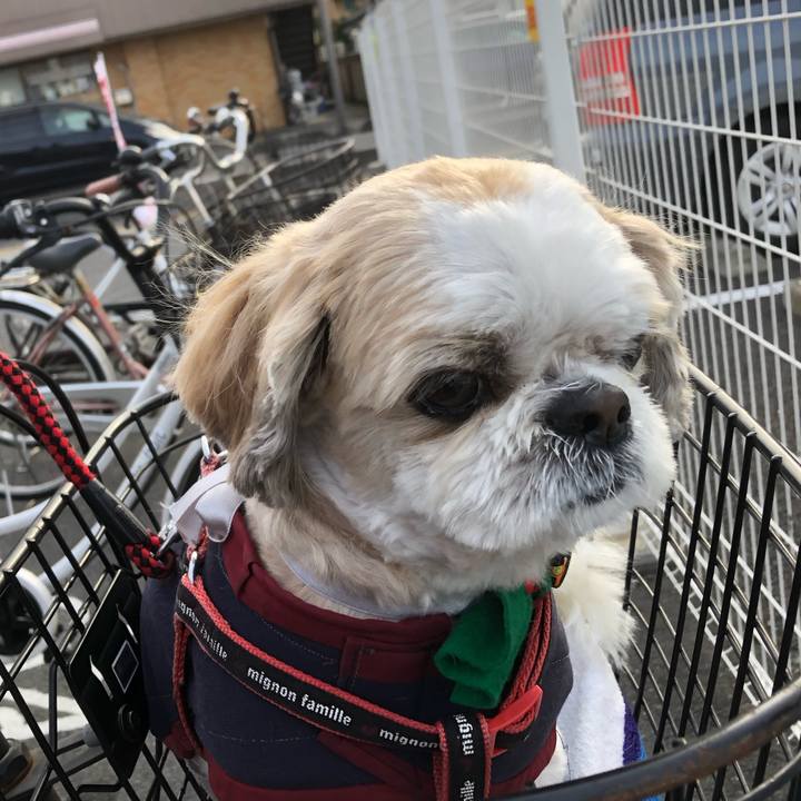 C0ee3628 dee3 45c5 a7b8 84ce3388bf77 1607900708615