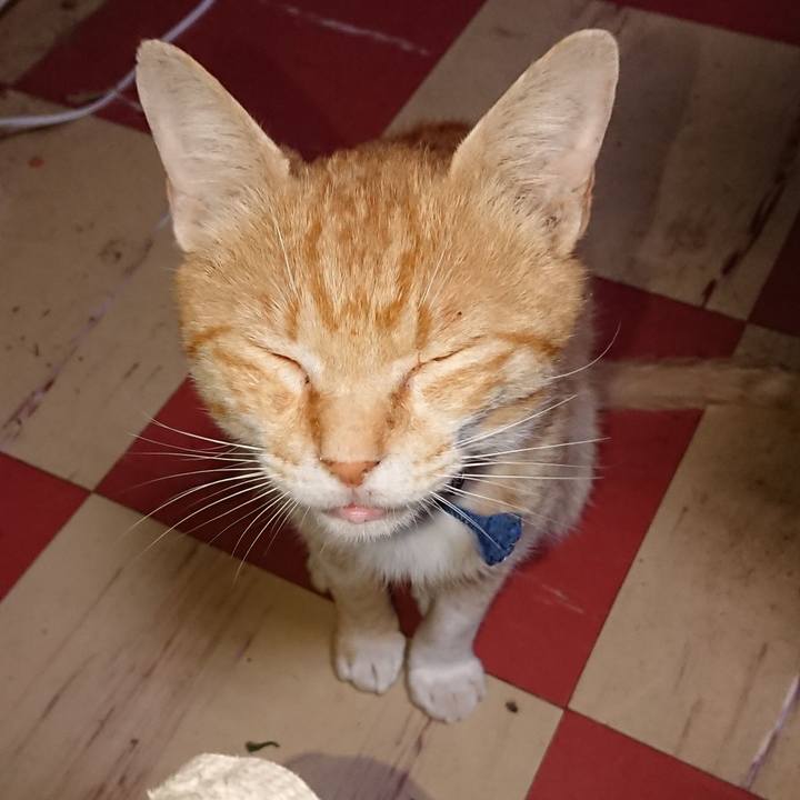 C0ee4629 2500 488c ada8 f05e0c86ea2a 1559763816019