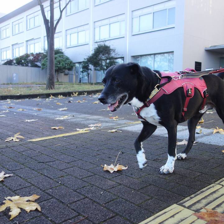 C0ee9dfb e73d 4aae ba21 1678d1f12653 1700268840124