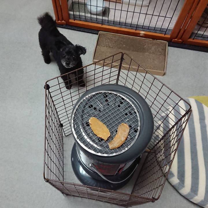 C0ef084d a4d1 4939 804d d93e89c66080 1579089150628