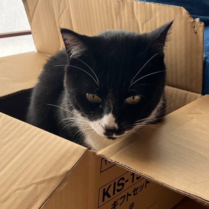 C0ef2914 2694 4a78 b078 9bc7dfba5c4c 1701660556809