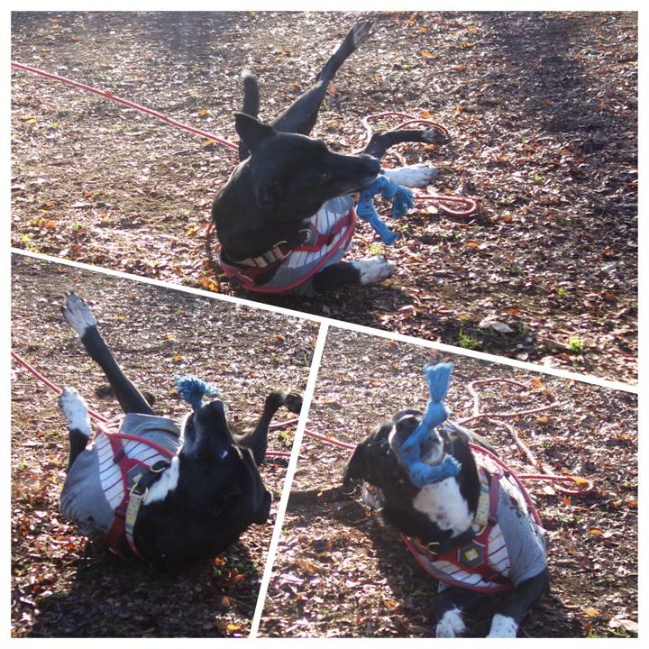 C0ef6f95 59a9 4b60 8317 bfe9cb00e269 1702084288837