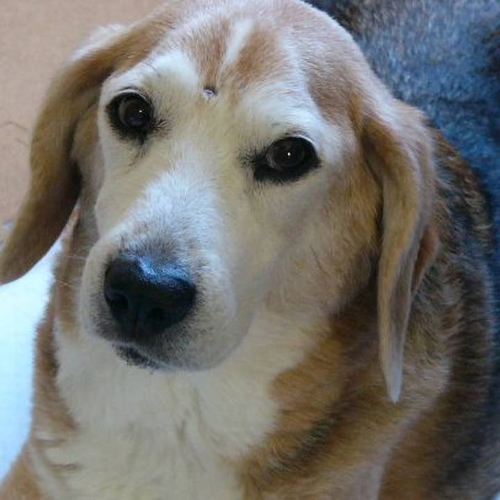 C0ef7a0a c674 40c1 a695 8778128d16ec 1684978323284