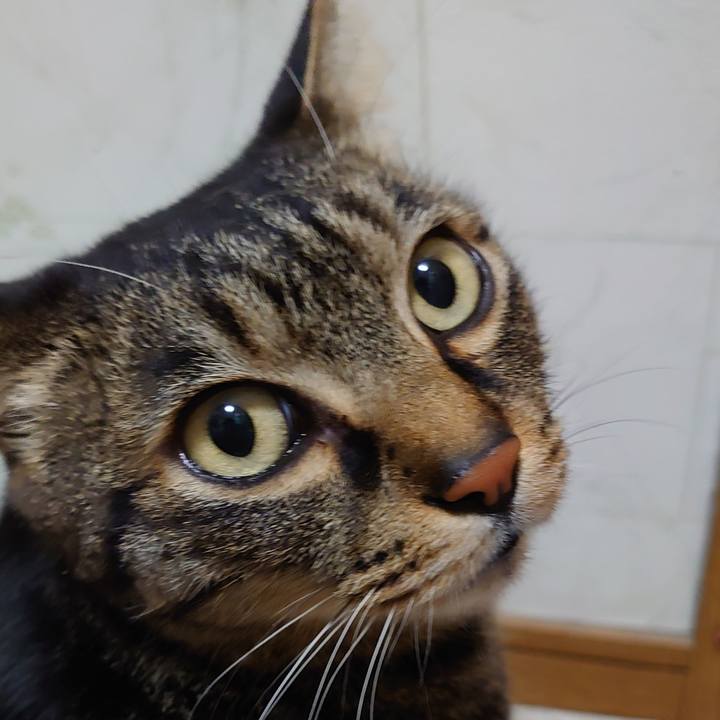 C0ef896e 3f72 4603 a722 b75881056d71 1636671123342