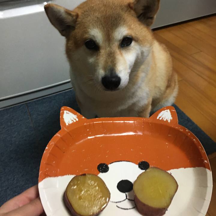 C0ef9047 b1b0 4263 82f4 6152216525bb 1603428272287